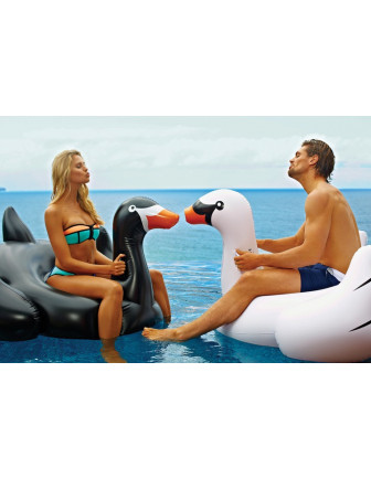 bouee-cygne-geant-black-swan-sunnylife-bouee-cygne-blanc