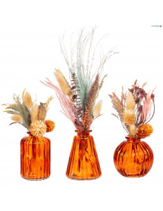 3-petits-vases-en-verre-transparent-ambre 2