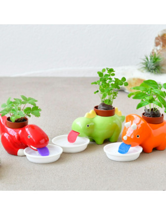 plante-a-faire-pousser-dinosaure-peropon