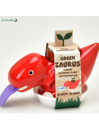 plante-a-faire-pousser-dinosaure-peropon-rouge