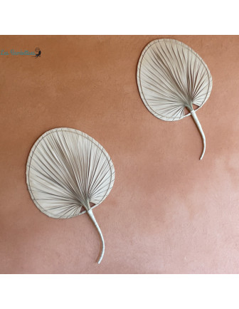 grande-feuille-de-palmier-sechee-decoration-mur-maison