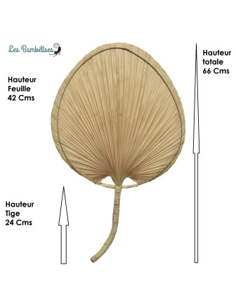 grande-feuille-de-palmier-sechee-66x-41cm-deco-boheme