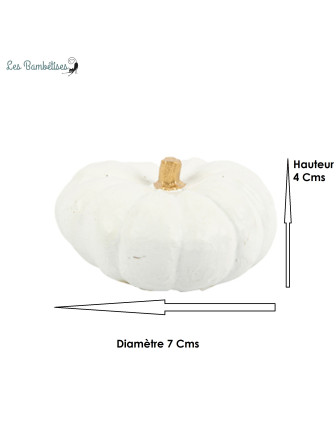 petite-citrouille-blanche-halloween-7x4cm-deco-table-automnale
