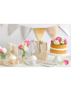 10 grandes assiettes chevrons argents et blancs 2