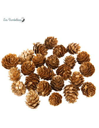 24-pommes-de-pin-or-mat-