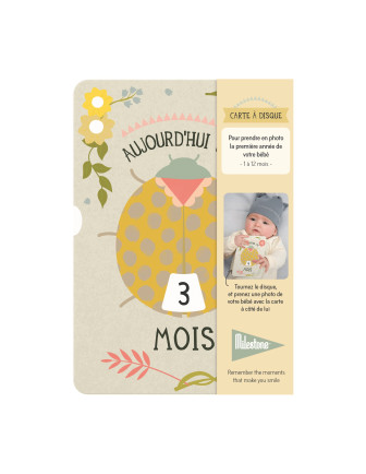 carte-a-disque-premiere-annee-de-votre-bebe-milestone-cards-cadeau-naissance