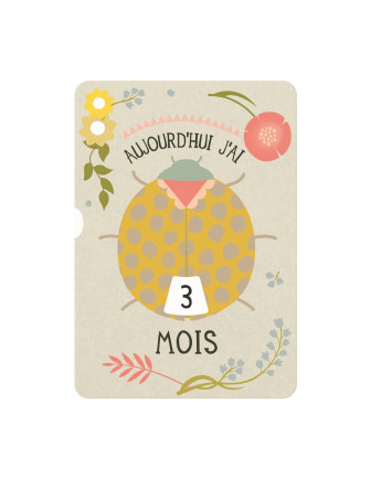 carte-a-disque-premiere-annee-de-votre-bebe-milestone-cards-cadeau-bebe