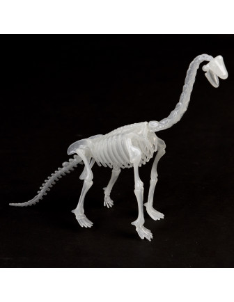 kit-squelette-de-dinosaure-a-assembler-brachiosaure-glow-in-the-dark