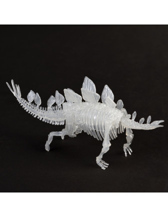 kit-squelette-de-dinosaure-a-assembler-stegosaure-glow-in-the-dark