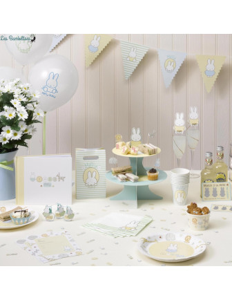 20-piques-gateaux-miffy-ses-amis-deco-gateau-anniversaire-lapin