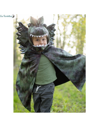 cape-de-t-rex-dilophosaurus-et-griffes-4-6-ans-deguisement-garcon