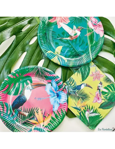 12-grandes-assiettes-oiseau-tropical-deco-fete-tropicale