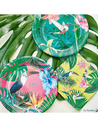 12-grandes-assiettes-oiseau-tropical-deco-fete-tropicale