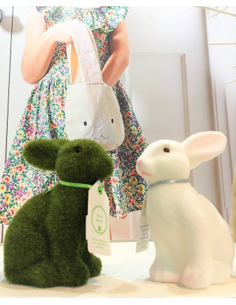 Lapin Vert et blanc déco anniversaire lapin
