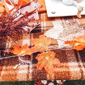 decoration-mariage-automne-guirlande-feuilles-erable-leds